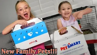 New Family Pets for Trinity and Madison It s So Fluffy