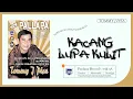 Download Lagu Tommy J Pisa ft New Pallapa - Peanut Forget the Skin (Official Music Video)