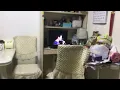 有心人-張國榮