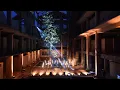 Download Lagu Star Curtain: KOOOZ at Zini Tang in Guangzhou, China (Live  Stage) 4K