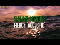 Shawn Mendes - Mercy [Acoustic] (Lyrics)