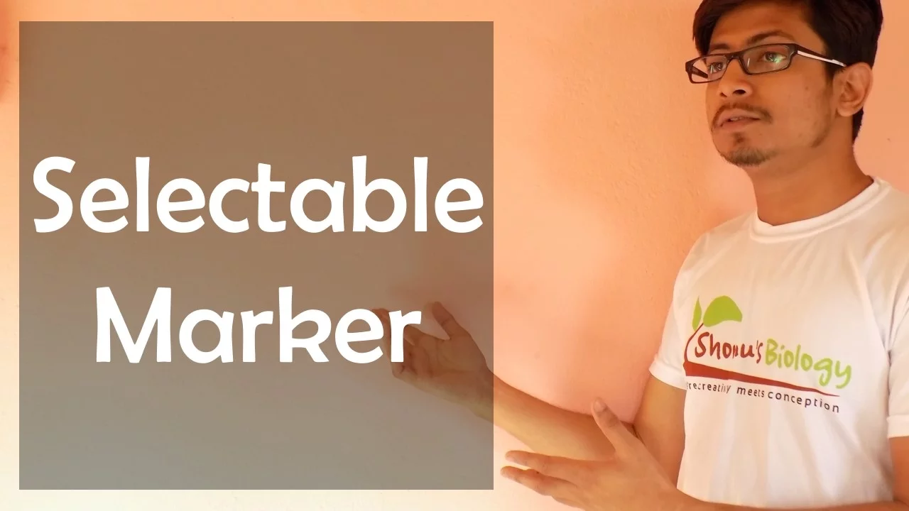 Selectable marker