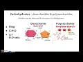 Identifying the Structure of Macromolecules