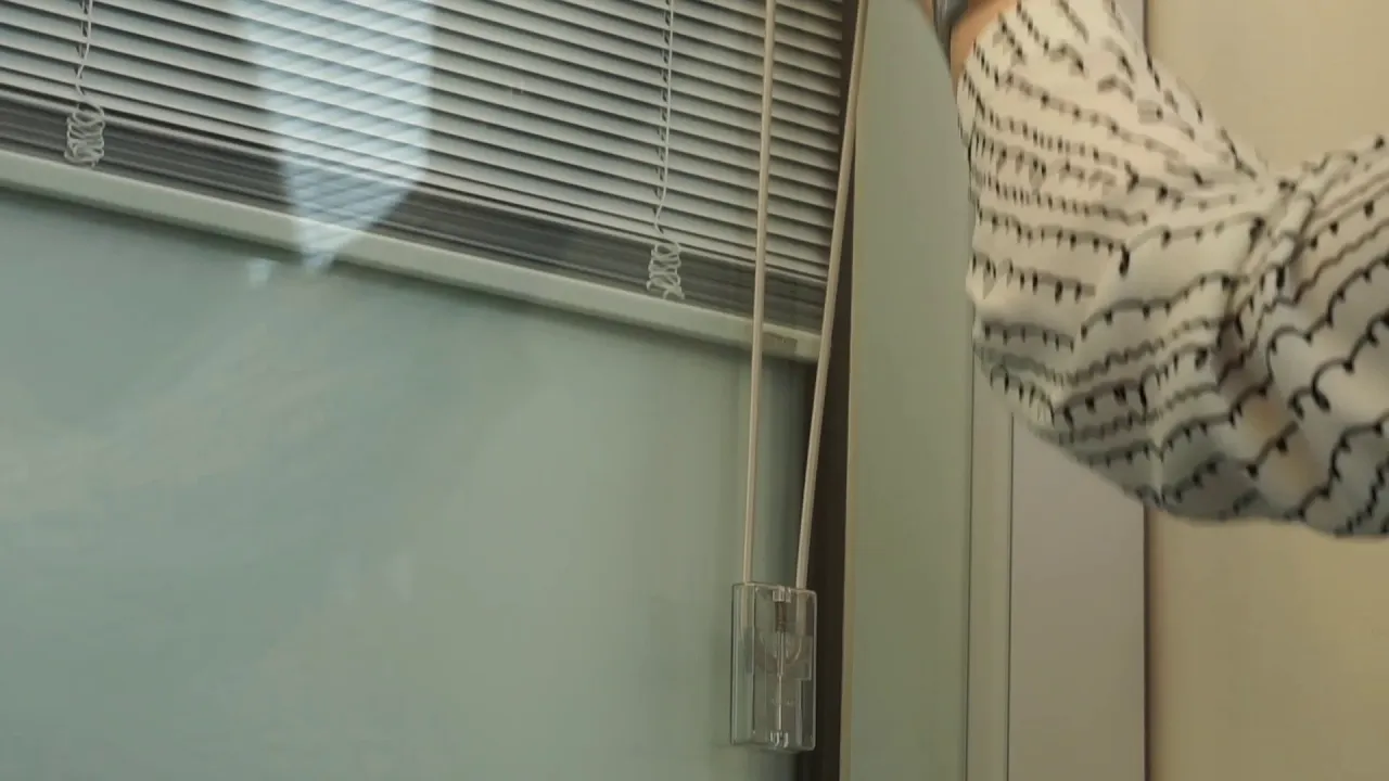 Venetian Integral Blinds with a Cord Mechanism