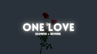 one love slowed and reverb shubh 