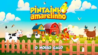 Pintainho Amarelinho 6  - O Nosso Galo (Video Oficial)