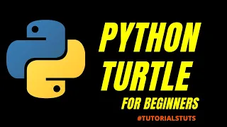 How to draw Square Shape in Python Turtle Python Turtle Tutorials Tuts