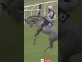 Lagu Horse Knocked Down The Jockey #horselifevd #horseracing #horse #shorts