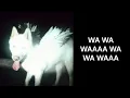 Fat Dog - The Devil - Lyrics