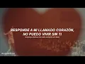 Download Lagu Kino (Pentagon) - Everglow // español