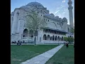 hayhum - Demrak
