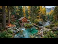 Tranquil Forest Cabin Escape Calm Nature Sounds for Deep Relaxation