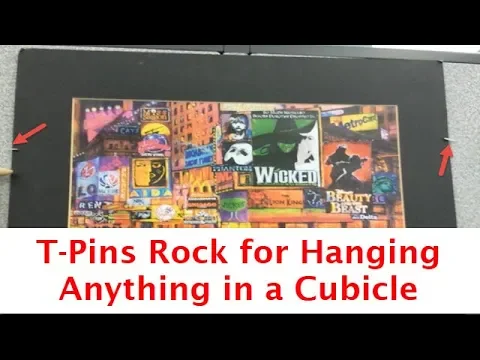 T-Pins Rock for Hanging Anything in a Cubicle - Workspace Bliss