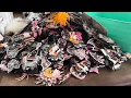 Download Lagu Halloween embellishment IDEAS! Come see! Major inspiration😍🤯🫶🏻