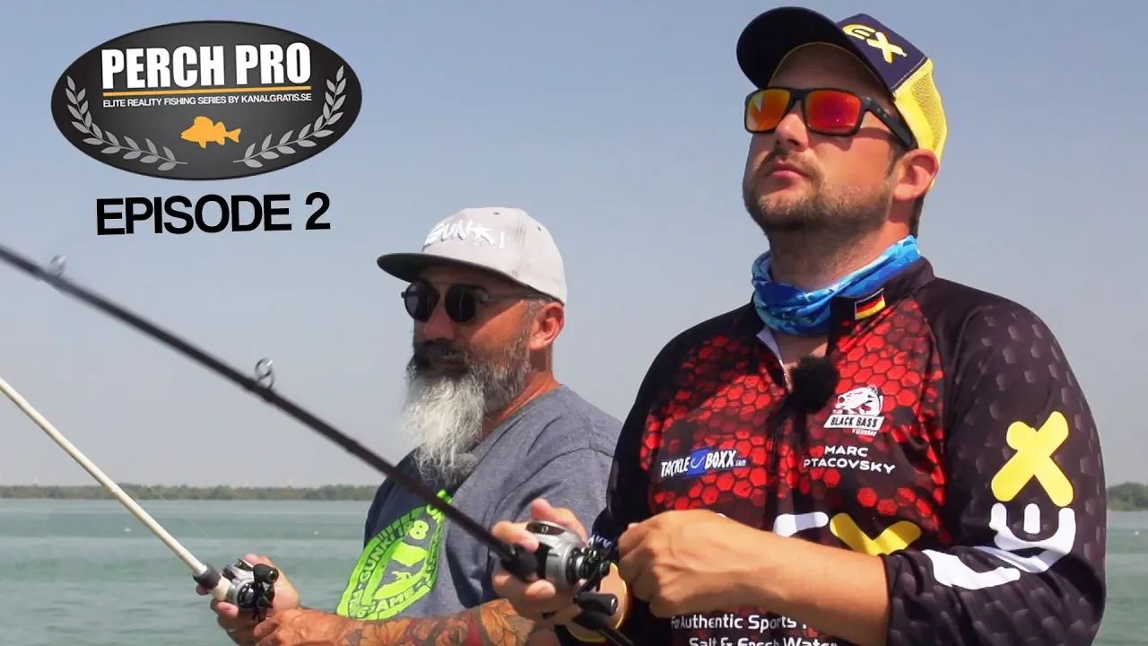 video Perch pro 5 - 2018