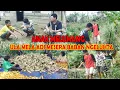Download Lagu DRAMA KARO TERBARU 2020 - ANAK MELUMANG