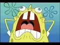 Spongebob Squarepants - Spongebob Freaks Out