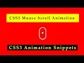 CSS3 Scrolling Mouse animation CSS3 Animation Snippets