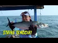 Download Lagu Parade Strike Di Laut Utara Semarang | MANCING MANIA STRIKE BACK (29/06/24) Part 2
