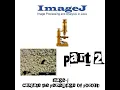 Image J - part 2