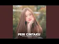 Download Lagu Peri Cintaku