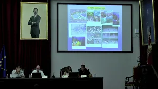 Emilia Guisado, Juan Pérez de Rubín, and Antonio Tovar, Marine Sciences and Mediterranean Challenges