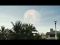 ItsArius & Lynnic - Cornfield Chase