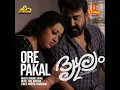 Ore Pakal (From "Drishyam 2")