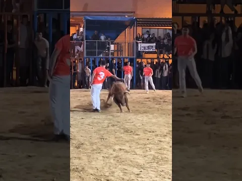 🚨🔥 ¡AL LÍMITE DEL ROCE! Quiebro espectacular 🐂