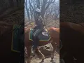 The Central Park Rangers