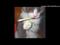 Download Lagu Yame - Becane ( slowed \u0026 reverb ) tiktok ver.