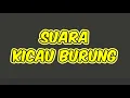 Download Lagu Efek Suara Kicau Burung