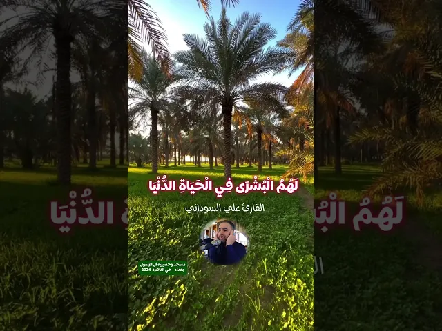 ⁣دقيقة قرآنية من سورة يونس - القارئ علي السوداني - مسجد وحسينية آل الرسول - بغداد - حي القاهرة