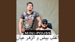 القلب بيض و الزهر عيان  القلب بيض و الزهر عيان