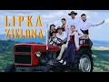 Download Lagu Lipka Zielona - Szkoła Wokalna Szymona Grzybacza x LUNARIA