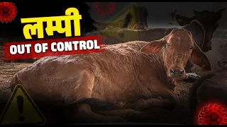 लम्पी हुआ Control से बहार | गोकुलधाम की भिवानी शाखा को बनाया Isolation | दर्द से मजबूर #fyp