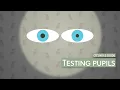 OT skills guide Testing pupils