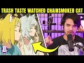Our Honest Thoughts on Chainsmoker Cat