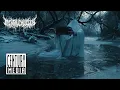 MENTAL CRUELTY - Zwielicht/Symphony of a Dying Star (OFFICIAL VIDEO)