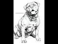 Dog and Puppy Coloring Sheets 157