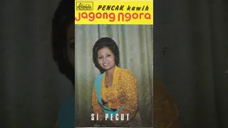 Download Si Pecut (Yayah Waryati) \u0026 Raksa Budaya Group - Jagong Ngora MP3