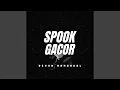 Download Lagu Spook Gacor