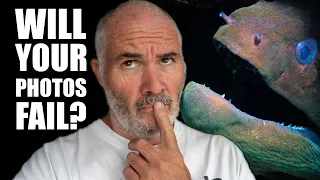 Are my photographs GOOD ENOUGH for the Royal Photographic Society? – Ep 313