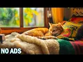 Download Lagu 12 uur muziek voor katten🐾Rustgevende muziek voor katten🐾Muziek om katten te helpen in slaap te va