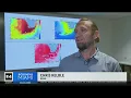 Scientists worry extreme ocean temps could cause fish kills dying seagrass