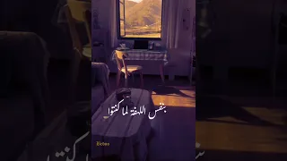 نجاة بنفس الحب حالات واتس 