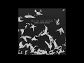 Hidden Orchestra - Wingbeats (Max Cooper Remix)
