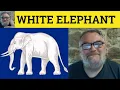 White Elephant Meaning - White Elephant Definition