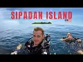 Diving SIPADAN Island, Malaysia with Scuba Junkie