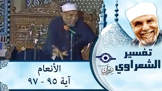 الشيخ الشعراوي تفسير سورة الأنعام آية ٩٥ ٩٧ 